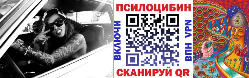 Купить закладки  Ясногорск  Псилоцибиновые грибы GOLDEN TEACHER 